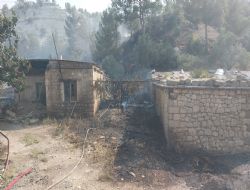 Mut'ta tar�m arazisineki  yang�n korkuttu