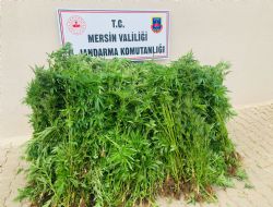 Evinin bah�esini uyu�turucu tarlas�na �evirmi�