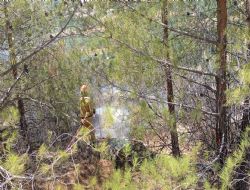 Mut'ta Orman Yang�n�