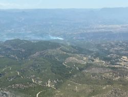 MUT VE G�LNARDA ORMAN YANGINI