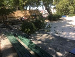 Mut ��naralt� yine korkuttu