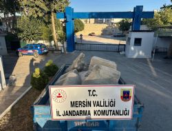 Mut'ta tarihi eser operasyonu