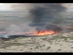 Irmak kenar�nda ��kan yang�n korkuttu