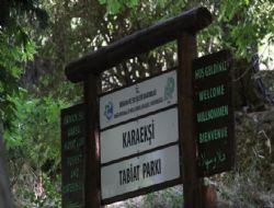 Mesire alan� olan Karak�i de i�ki yasa��m� var