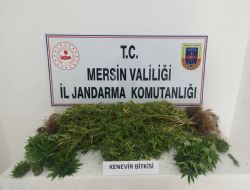 JANDARMADAN UYU�TURUCU MADDE OPERASYONU