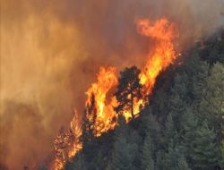 Silifke �l�esinde Orman Yang�n� S�r�yor