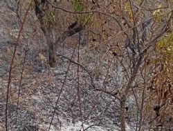 G�lnar'da yang�nda hayat�n� kaybetti